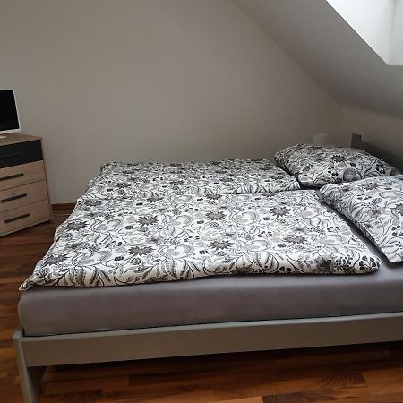 Apartman V Aleji 布尔诺附近斯拉夫科夫 外观 照片