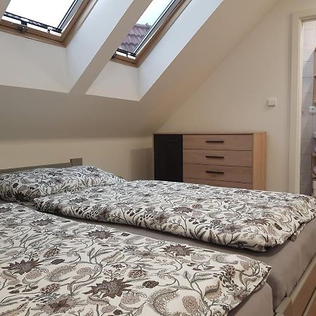 Apartman V Aleji 布尔诺附近斯拉夫科夫 外观 照片