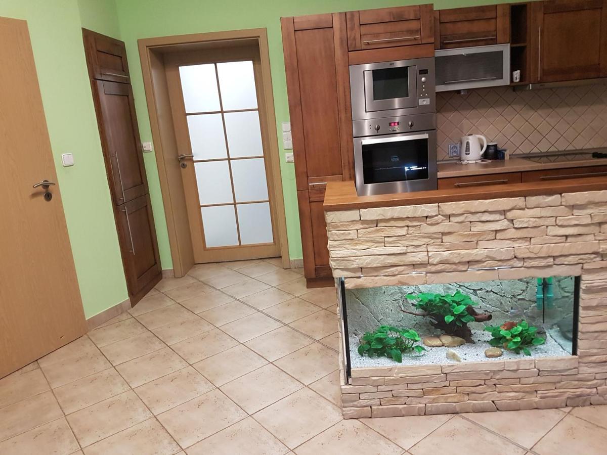 Apartman V Aleji 布尔诺附近斯拉夫科夫 外观 照片