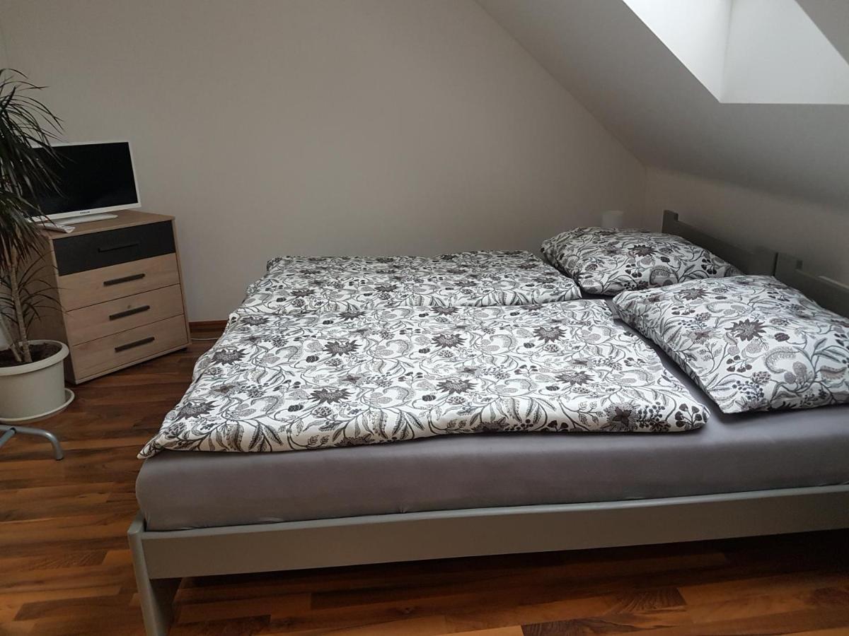 Apartman V Aleji 布尔诺附近斯拉夫科夫 外观 照片